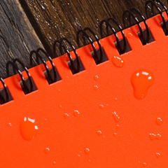 Blaze Orange notebook (3” x 5”)