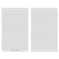 Blaze Orange notebook (3” x 5”)